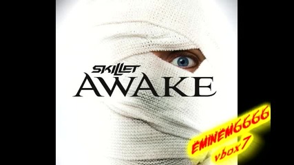 14. Skillet - Would It Matter ( Awake )