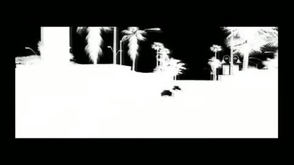 Baja 1000 - lfplogo 