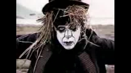 The Chills - Pink Frost