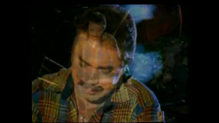 ferdi tayfyr
