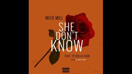 *2015* Meek Mill ft. Ty Dolla Sign - She Don't Know
