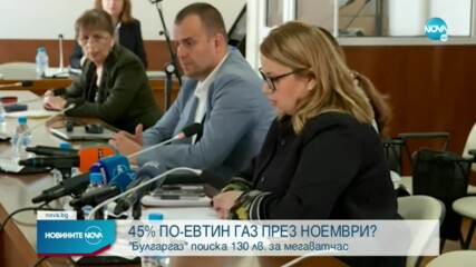 „Булгаргаз” предлага поевтиняване на синьото гориво с 45%