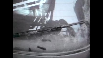 Bass 