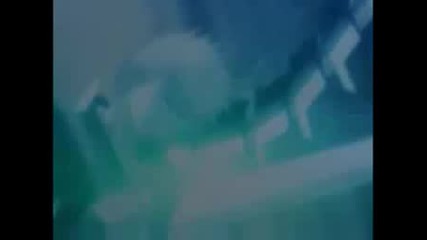 Bleach - Pain Amv