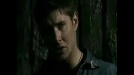 Supernatural [ Dean - Animal I Have Become ]