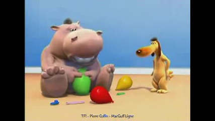 Hippo fart annoys dog 