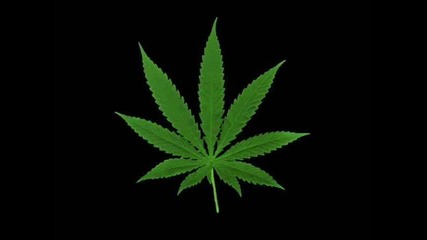 The Spit Brothers - Oh Contrarians Dub