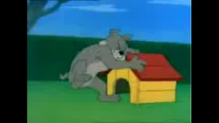 Tom Jerry Show