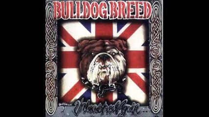 Bulldog Breed - In Your Eyes