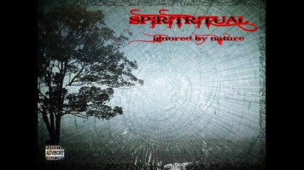Spiritritual-in the middle of the chaos