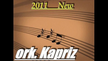 ork. Kapriz - Dana Kochek - Youtube