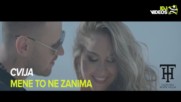 Cvija - Mene To Ne Zanima • Official Video 2017