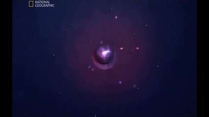 Скоростта на Вселената