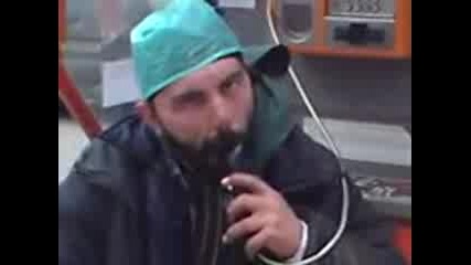 Dancho - Bengalskiia tigyr 