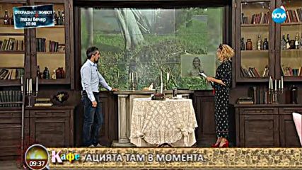 Гала и половинката й Стефан коментират актуалните новини - На кафе (12.09.2017)