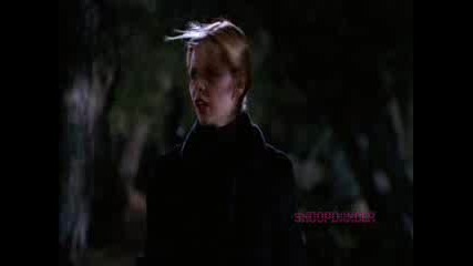 Buffy The Vampire Slayer