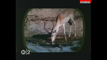 Korn - Here To Stay