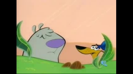 Two Stupid Dogs - Love