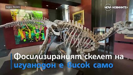 Продават скелет на динозавър за половин милион евро на търг в Париж