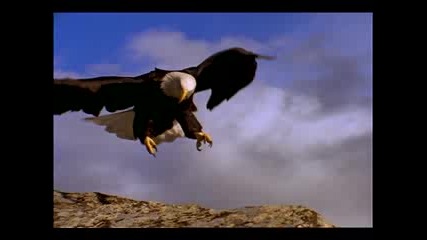 Плавно кацане на орел - Красота 