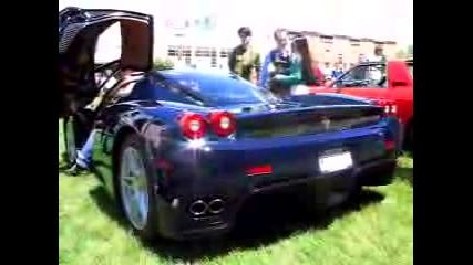 Enzo Ferrari Start Up