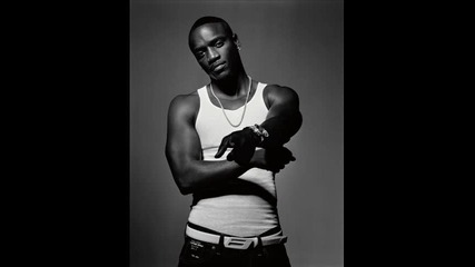 Akon - Party Animal 