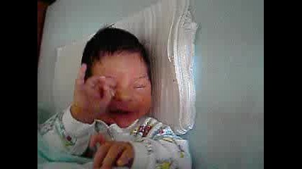 Moq Jivot