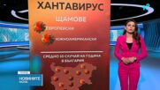Хантавирус в Европа: Няма опасност от пандемия