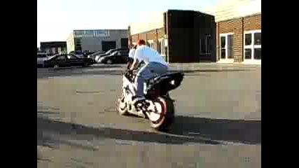 Cops & Stunters