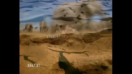 Bbc Motion Gallery- Natural History Showreel
