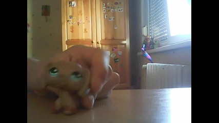 Roar