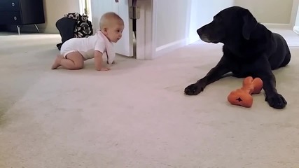 Бебе и куче- големи сладури