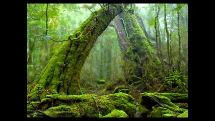 Chinese Relaxation Music 20 min.zen Garden (hd) Relaxation Meditation Yoga