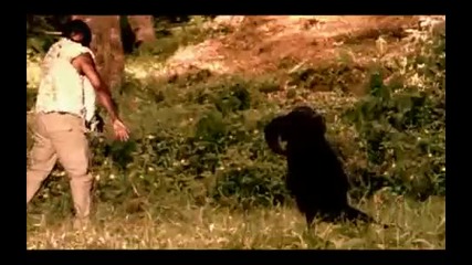 Busta Rhymes - Break ya Neck ( Official video )