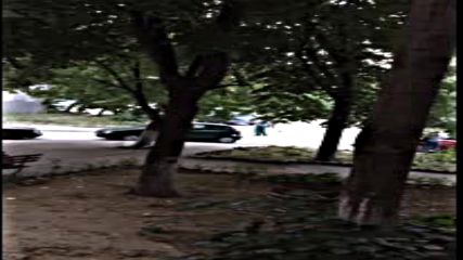 "Моята новина": Ето как се събира липов цвят за чая в пакетчетс