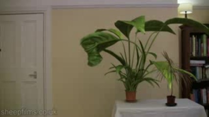 Не Е За Вярване!!!!цвете Расте За Секунди!!!!!