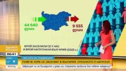 „Числата на седмицата”: Над 17 000 българи се завърнаха през 2025 г. Страната ни е увеличила населението си с 35 000 души