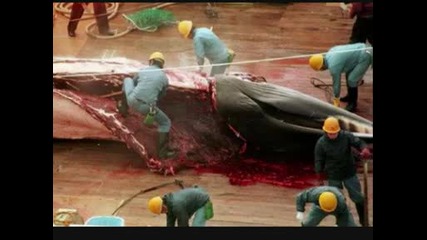 Няма по - голям звяр от човека...!!! Murders...