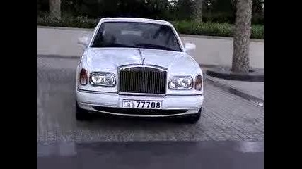 Супер коли ( Дубай)