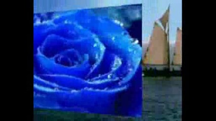 История За Любовта