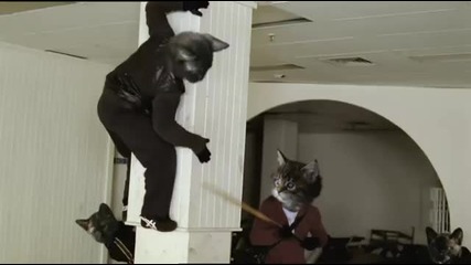 Ninja Kittens (extended version) 