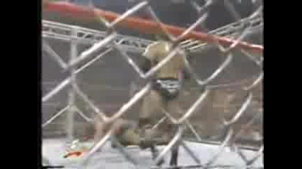 Wwf - The Rock Vs Triple H (stell Cage Match)