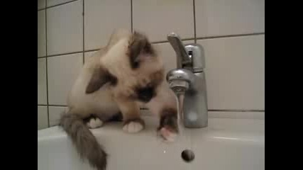 Сладурчето пие вода от чешмата