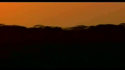 Bzn - C'est La Vie