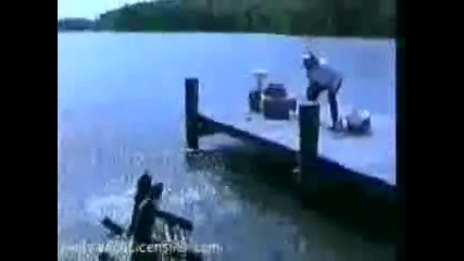 Досадник на риба