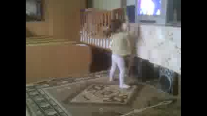 Мърчево-михи