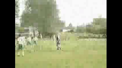 Ultra Victoria