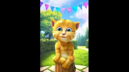 Ginger's birthday