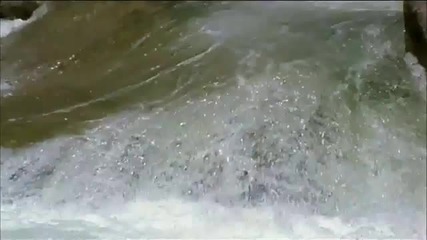 Enya - On Your Shore Watermark 