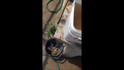 Кафява вода